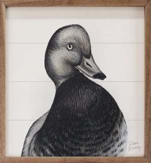 Redhead Duck By Robin Sue Studio